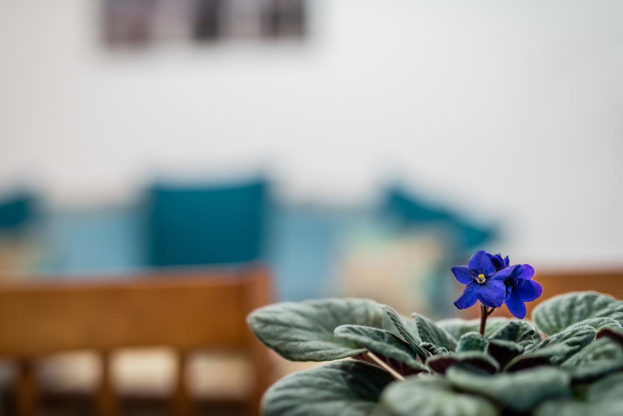 Apartamenty Bosacka WAWELOFTS Kraków Exteriör bild